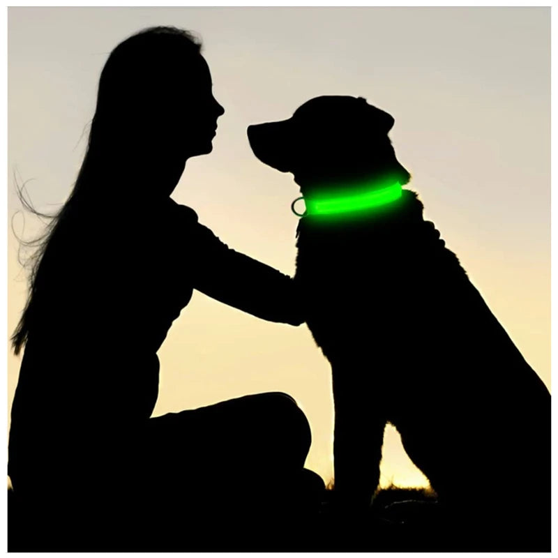 Rechargeable LED glow dog collar