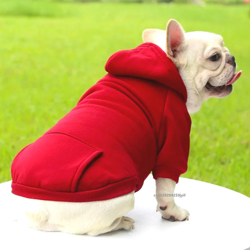 Cozy winter pet hoodie