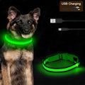 Rechargeable LED glow dog collar