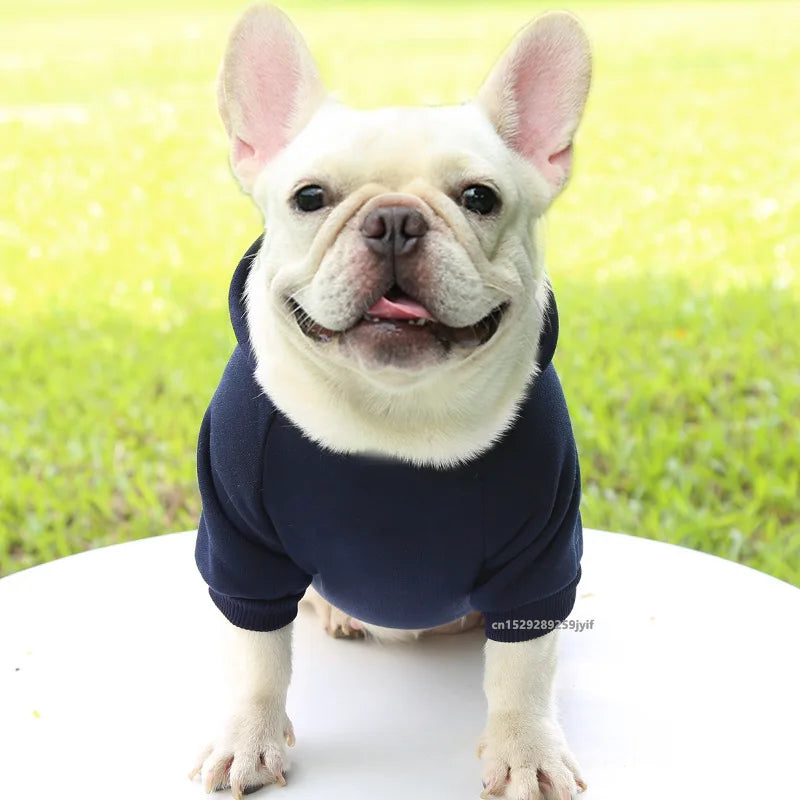 Cozy winter pet hoodie