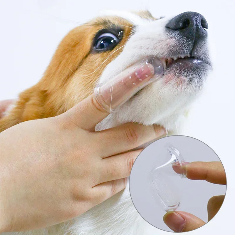Silicone finger toothbrush for dogs and cats