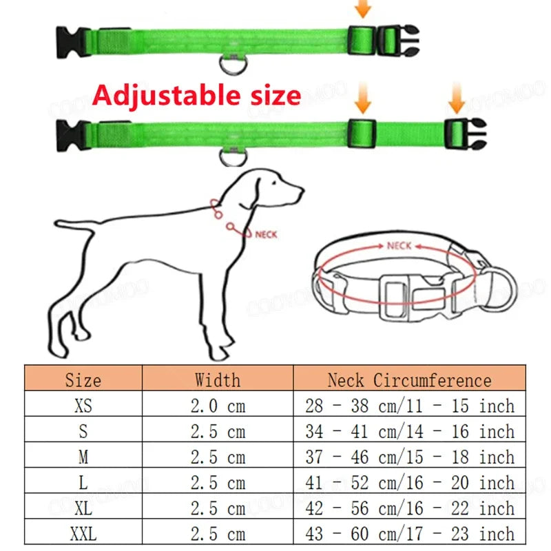 Rechargeable LED glow dog collar