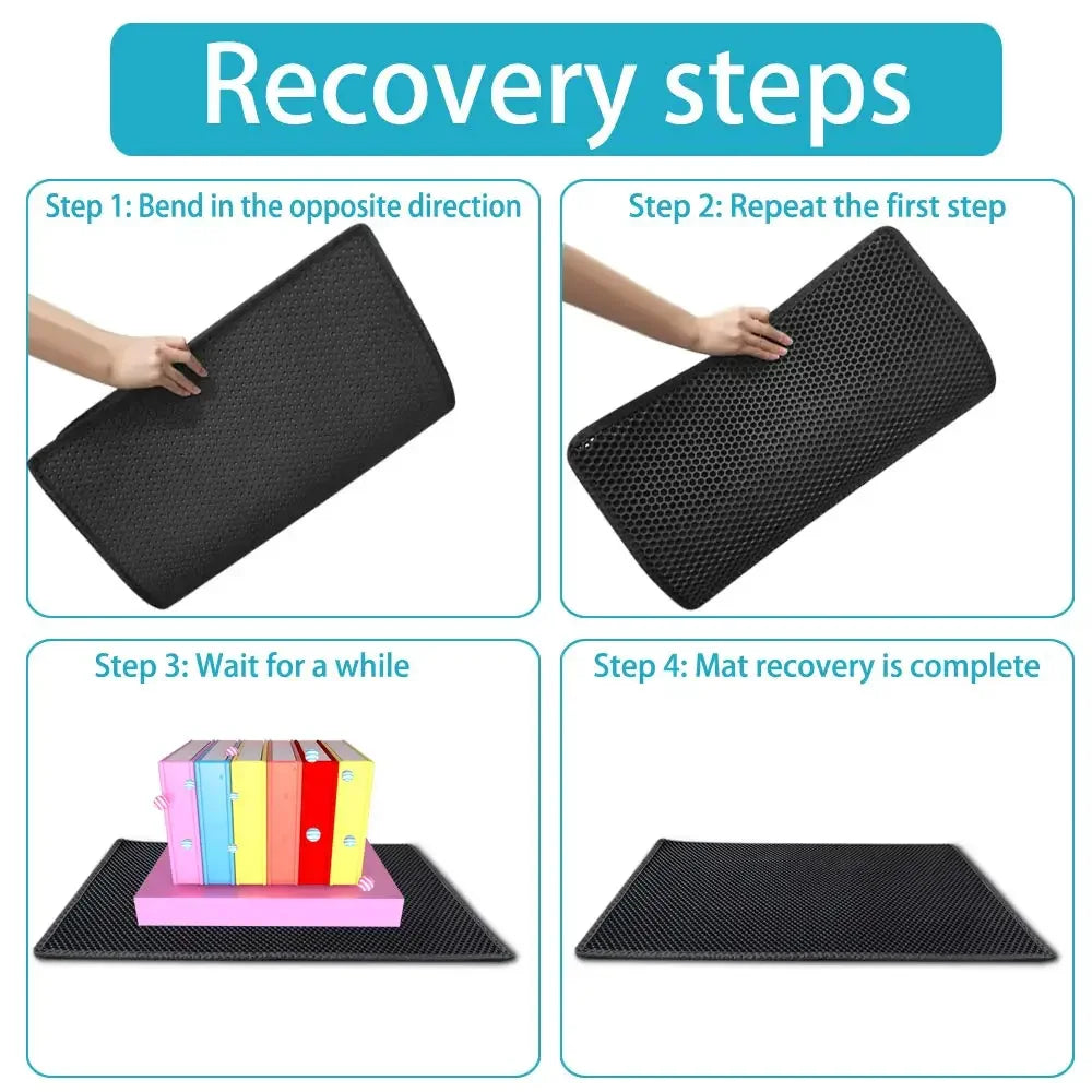 Cat litter mat cleaning steps