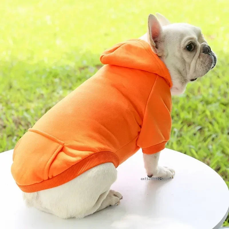 Cozy winter pet hoodie