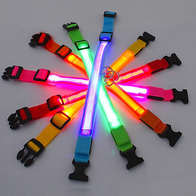 Rechargeable LED glow dog collar