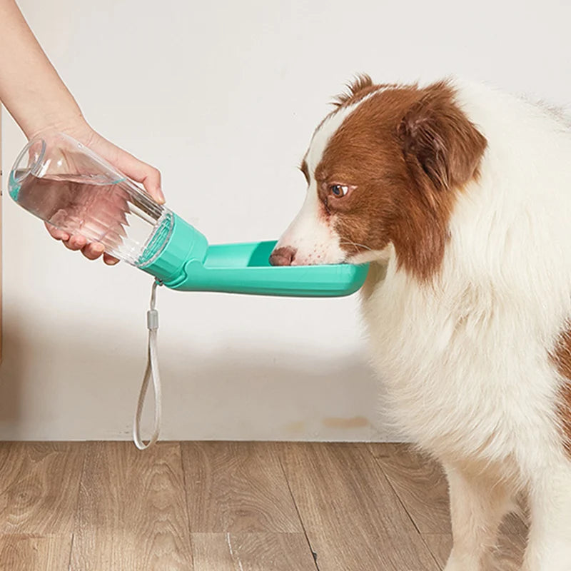 Dog drinking from the travel water bottle