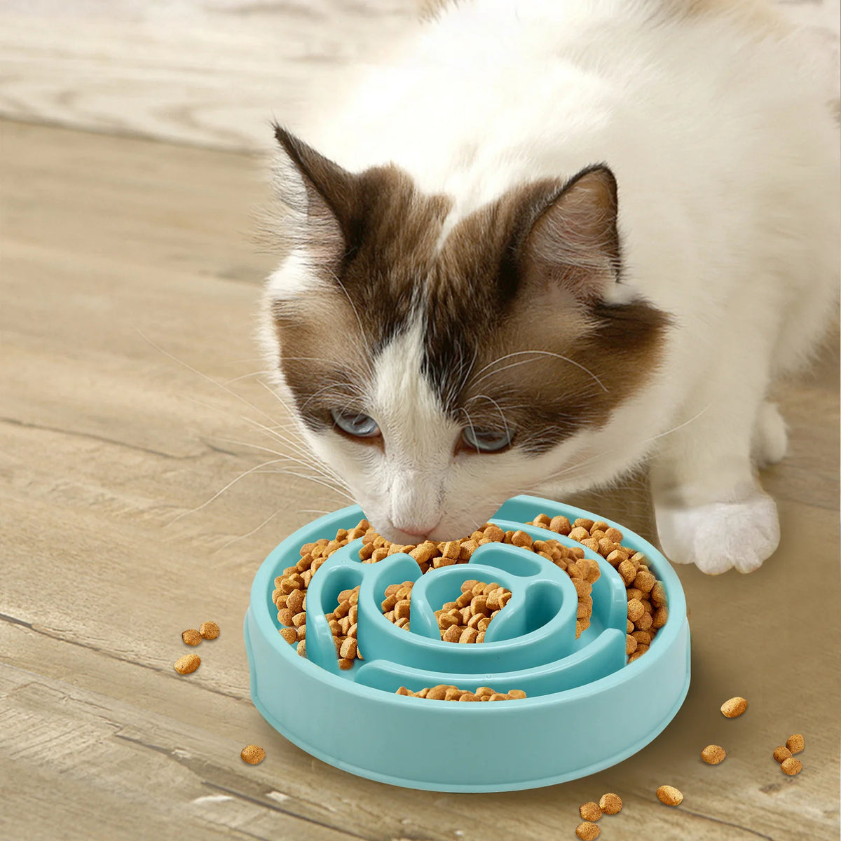 Cat eating from slow feeder bowl