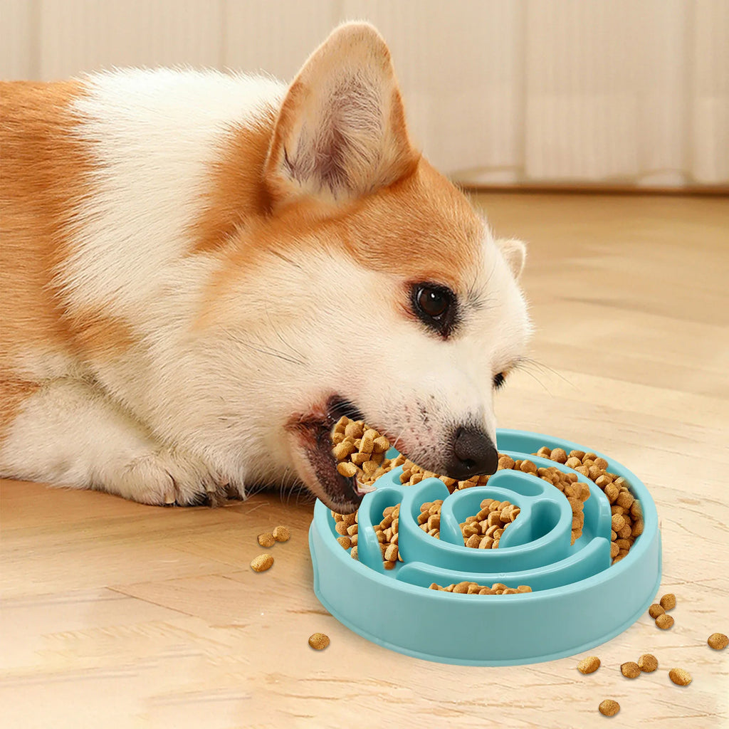 Dog eating from slow feeder bowl