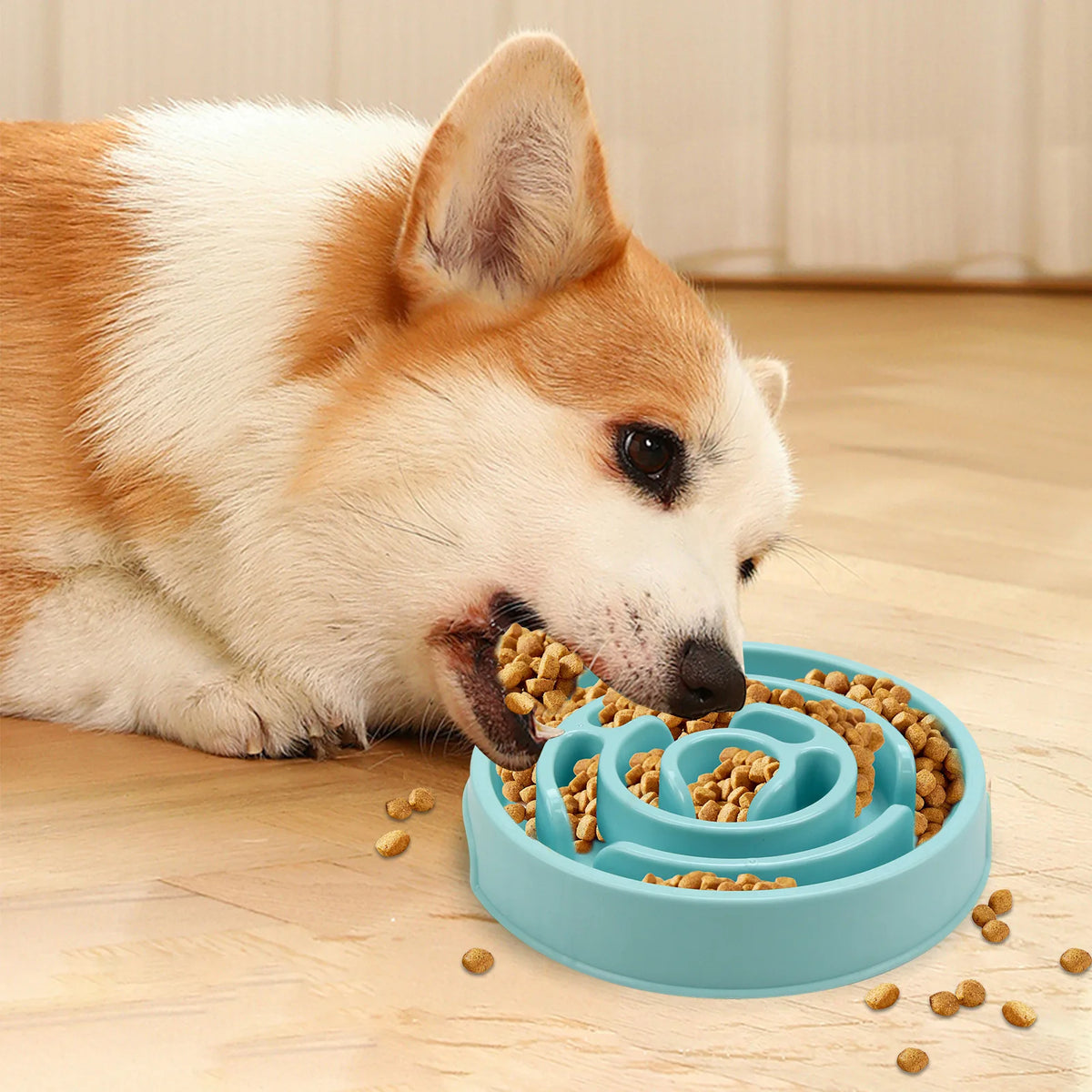 Dog eating from slow feeder bowl