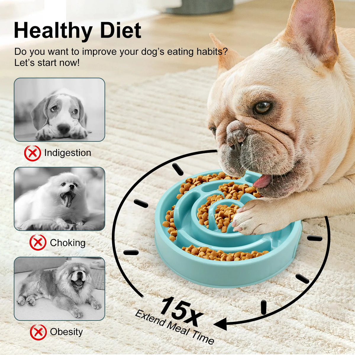 Non-slip slow feeder bowl