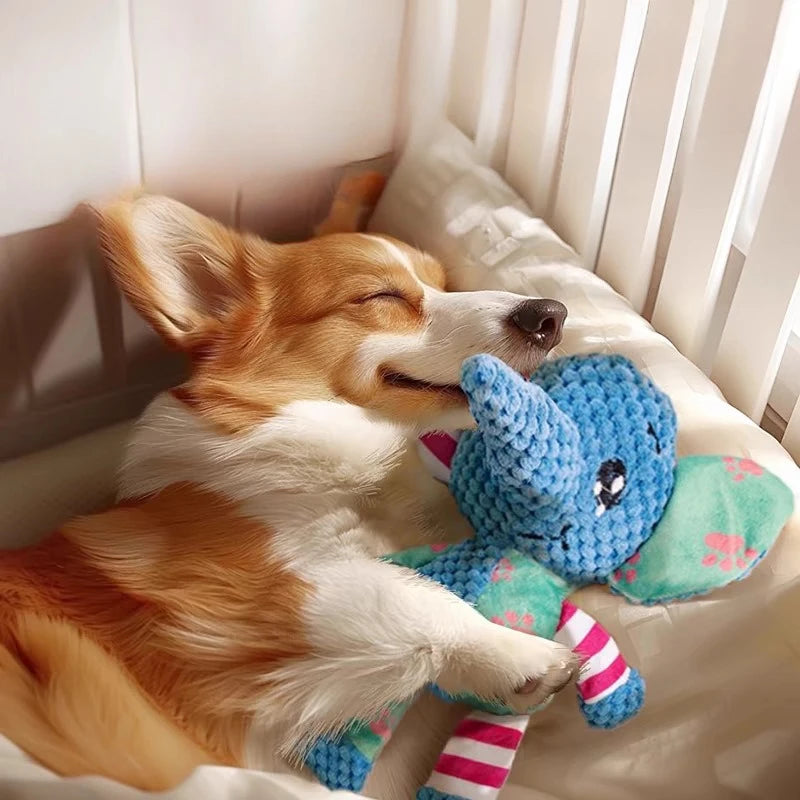 Dog with squeaky plush toy