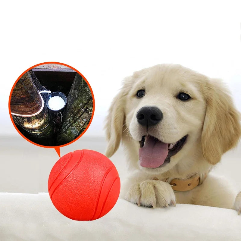 Bouncy rubber chew ball