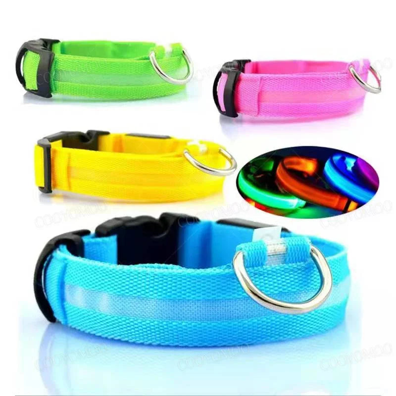Rechargeable LED glow dog collar